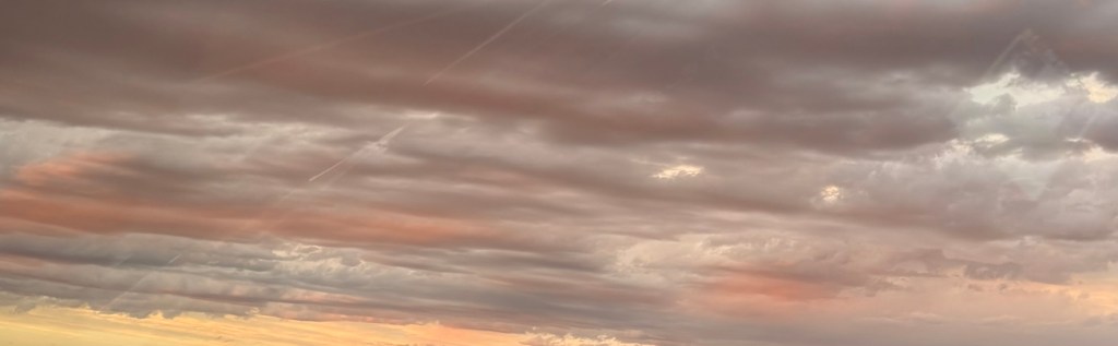 img_0220